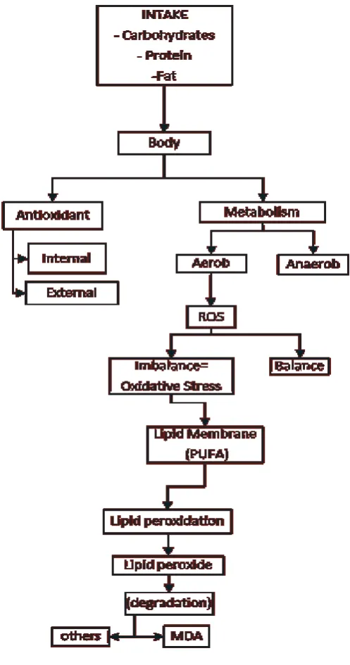 Figure 1 Theoretical Framework 