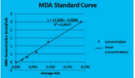 Table 2 Body Weight of Rats Group