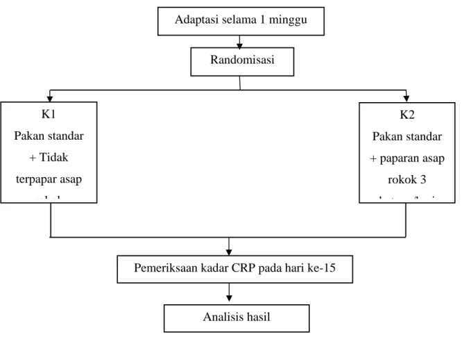 Tabel 1 Format Ringkasan Anggaran Biaya yang Diajukan 