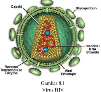 Gambar 8.1 Virus HIV