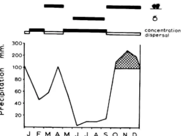 FIGURE 2.—Interrelationship of ungulate habitat utilization, rainfall, and grass growth.
