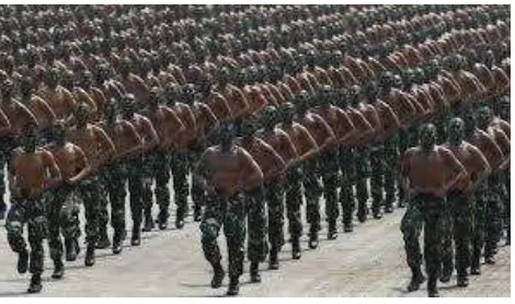 Gambar 9: TNI dalam pembelaan negara 