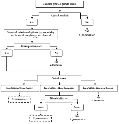 Figure 1 Streptococcus pneumoniae Identification Procedures