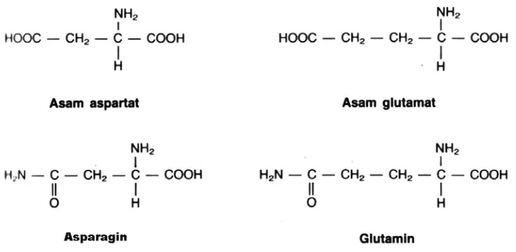 Tabel 1.  Singkatan-singkatan untuk Asam Amino 