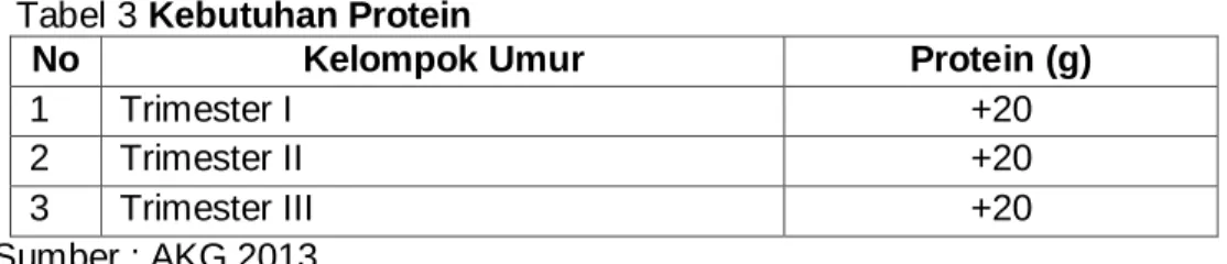 Tabel 3 Kebutuhan Protein  