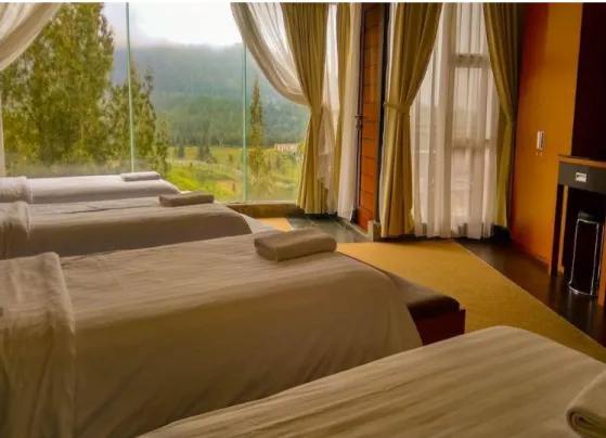 Gambar 2.4 Tongging Point Lodge Superior 