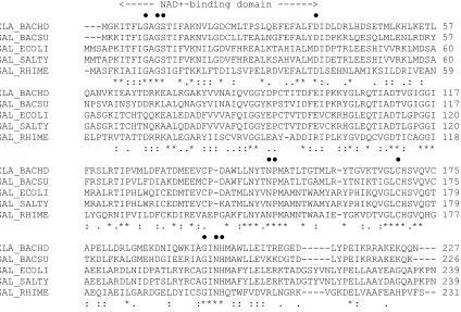 Fig. 2. Multiple alignments of the GHF4 α-galactosidases. The amino acid sequences were aligned using the ClustalW algorithm