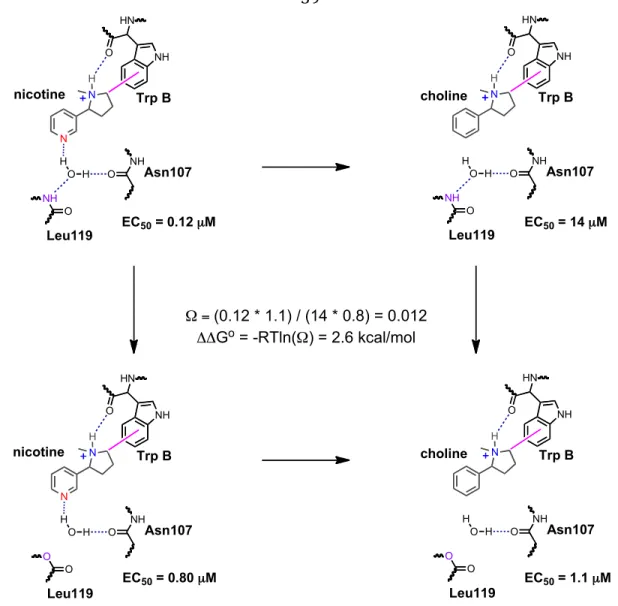 Figure  2.4.    Double  mutant  cycle  analysis  for  S-Nic  and  S-MPP  on  wild-type A2B3  and  (α4) 2 (β2L119Lah) 3 