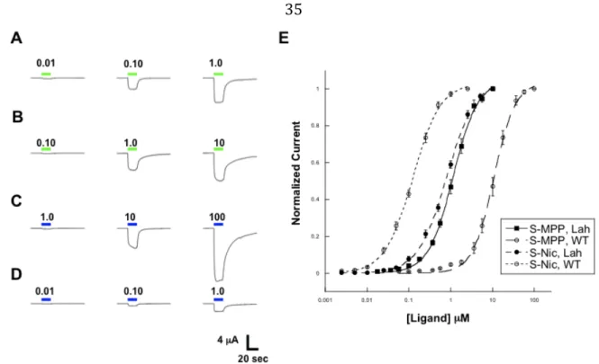 Figure 2.3. Representative current waveforms and dose-response relations for S-Nicotine and S- S-MPP at the A2B3 receptor
