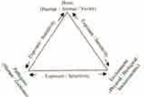Gambar 6.1. A host-pathogen-vektor-environment framework for the assessment of risks to humans from  vektor-borne diseases under global change