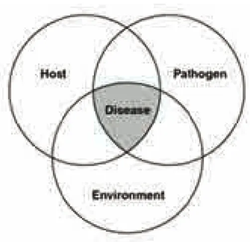 Gambar 6.2. Model ”Epidemiological Triad” – Sumber: Choffnes, ER &amp; Mack.A