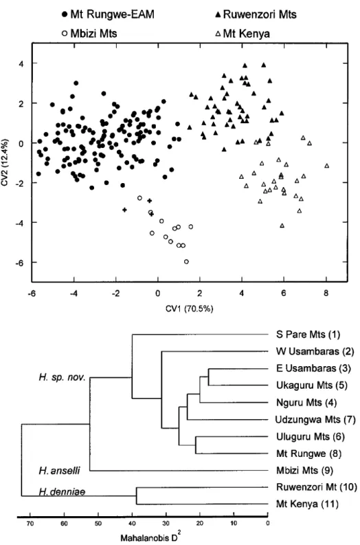 Fig. 3. Results of discriminant function analysis performed on 16 log-transformed craniodental variables as  measured on 242 intact specimens representing nine OTUs of Tanzanian Hylomyscus (1•9) and samples oí H