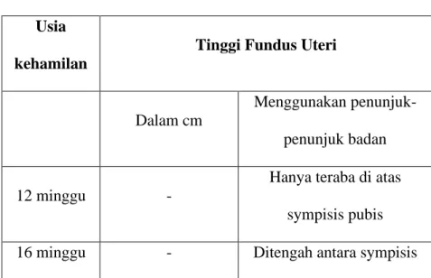 Tabel 2.1 Tinggi Fundus Uteri  Usia 