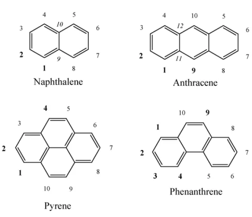 Figure 2.2: Carbon atom numbering conventions for neutral PAHs.