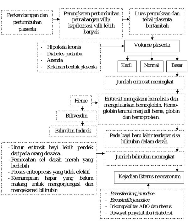 Gambar 2.1 Kerangka Konsep   Keterangan: 