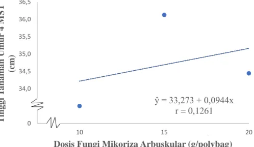 Gambar  2.  Grafik  hubungan  Fungi  Mikoriza  Arbuskula  terhadap  tinggi  tanaman  umur 4 MST