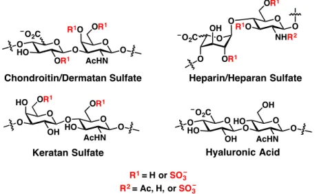 Figure 1.1 Structures of GAG family members. GAGs are made of repeating disaccharide units
