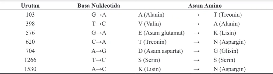 Tabel 1 Perbedaan Urutan Sekuens Nukleotida dan Asam Amino Isolat Bandung Klon Sampel 1  