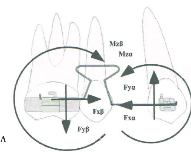 Gambar 1 Sistem Gaya yang Bekerja pada Pegas T-Loop Segmental   A. Gaya horizontal yang bekerja pada segmen anterior (Fxα)