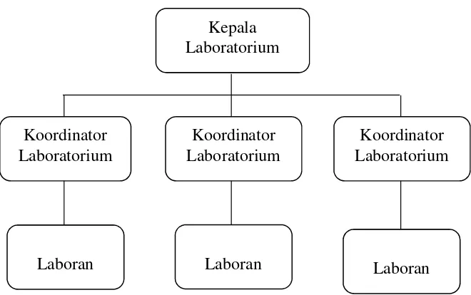Gambar 3. Bagan Struktur pada LaboratoriumMenurut Anti Damayanti Hamdani & Isma Kurniatanty