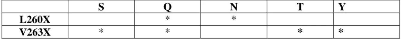Table 3-3: Planned hCCR1 mutations (* indicates mutant is energetically more stable  than wild type receptor)