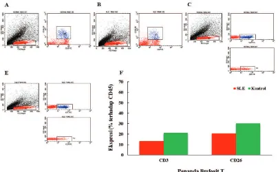 Gambar 5 Ekspresi CD3 dan CD26 dalam Kultur Limfosit T Pasien SLE       Flows sytometry analisis dilakukan meresuspensikan sel pellet ke dalam 1 mL PBS dan direaksikan     dengan5 µL anti CD3 Mab FITC atau anti CD26 Mab PE