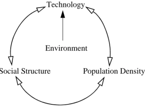Figure 1-1. Diagrammatic representation of Culture Core concept (see Fig. 2-3 for another representation ).