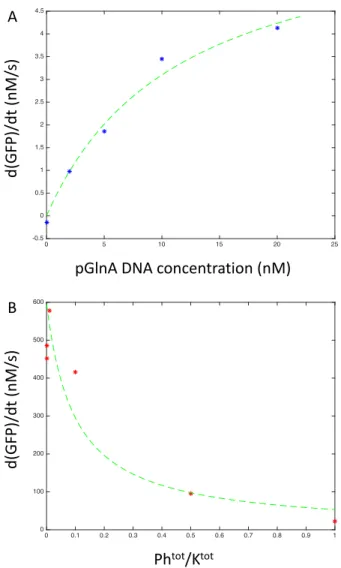 Figure 4 Linear Regression fitting to extract parameters.  A: A plot of the  resulting Hill function 𝑑𝐺𝐹𝑃/𝑑𝑡 against varying pGlnA