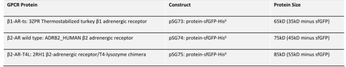 Table 1 Information of GPCR constructs used in experiments. pSG73 and  pSG75 have the corresponding PDB number noted