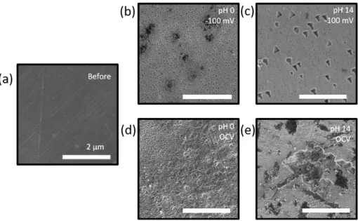 Figure  2.4.  SEM  images  of  n-ZnTe  electrodes  (a)  before  test,  and  (b-e)  after  the  chronoamperometry (b) biased at -100 mV vs