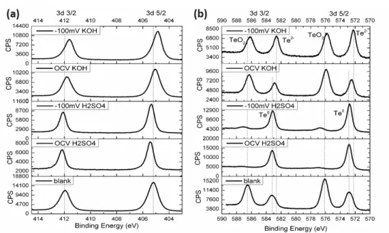 Figure 2.5. XPS of (a) Cd 3d, (b) Te 3d peaks of n-CdTe electrodes (dark). From top to  bottom: after 24 hours biased at -100 mV vs