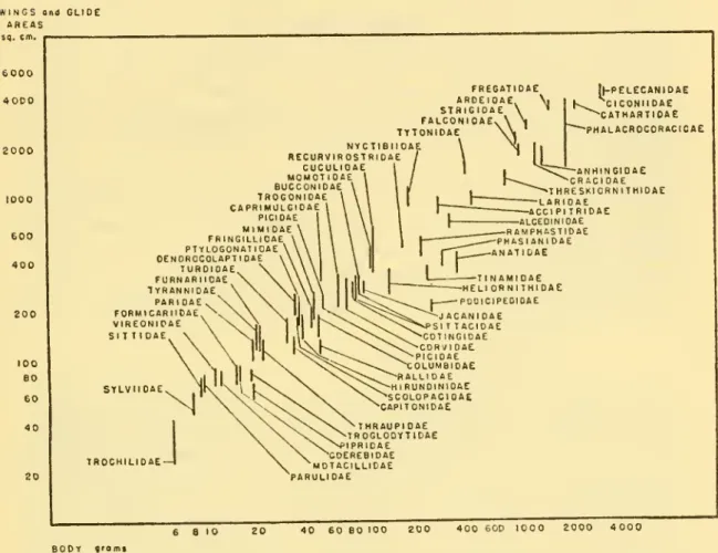 Fig. 6. — Selected plottings of areas for wings (low end of vertical lines) and glide (high end of vertical lines) against body weights (log scales).