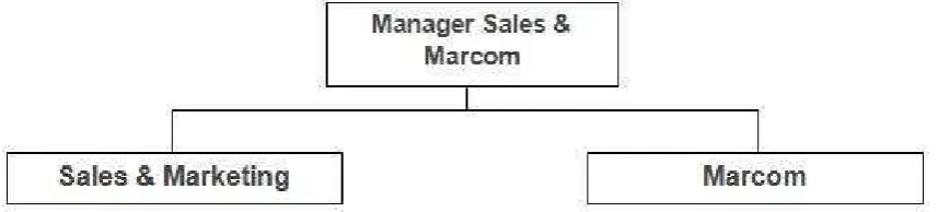 Gambar 1.6 Struktur Divisi PR dan Marketing