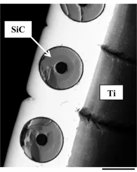 Figure 4-1  Scanning electron microscope (SEM) image of a typical specimen cross  section