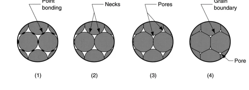 Figure 16.12  Sintering on a microscopic scale: (1) particle bonding  is initiated at contact points; (2) contact points grow into "necks"; (3)  the pores between particles are reduced in size; and (4) grain 