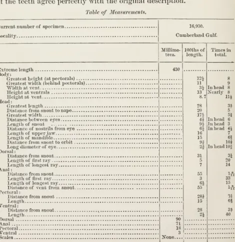 Table of Measurements,
