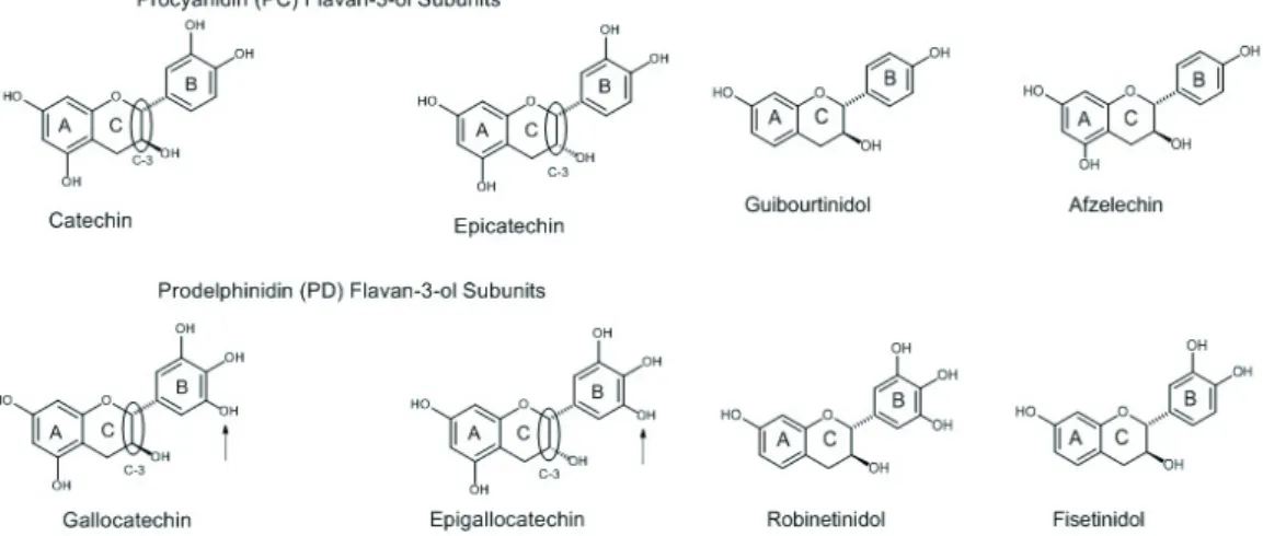 Figure 2 - Structures of ﬂavan-3-ols occurring in condensed tannins.