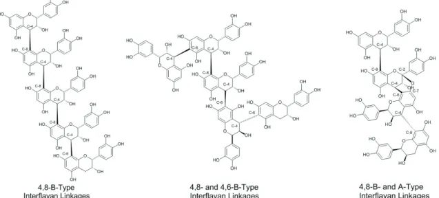 Figure 3 - Example of different types of interﬂavan linkages occurring in condensed tannin oligomers and polymers.