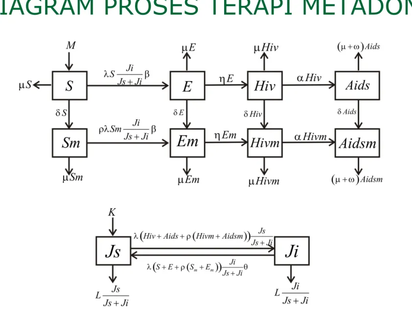 DIAGRAM PROSES TERAPI METADON