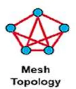 Gambar 2.7 topologi mesh 