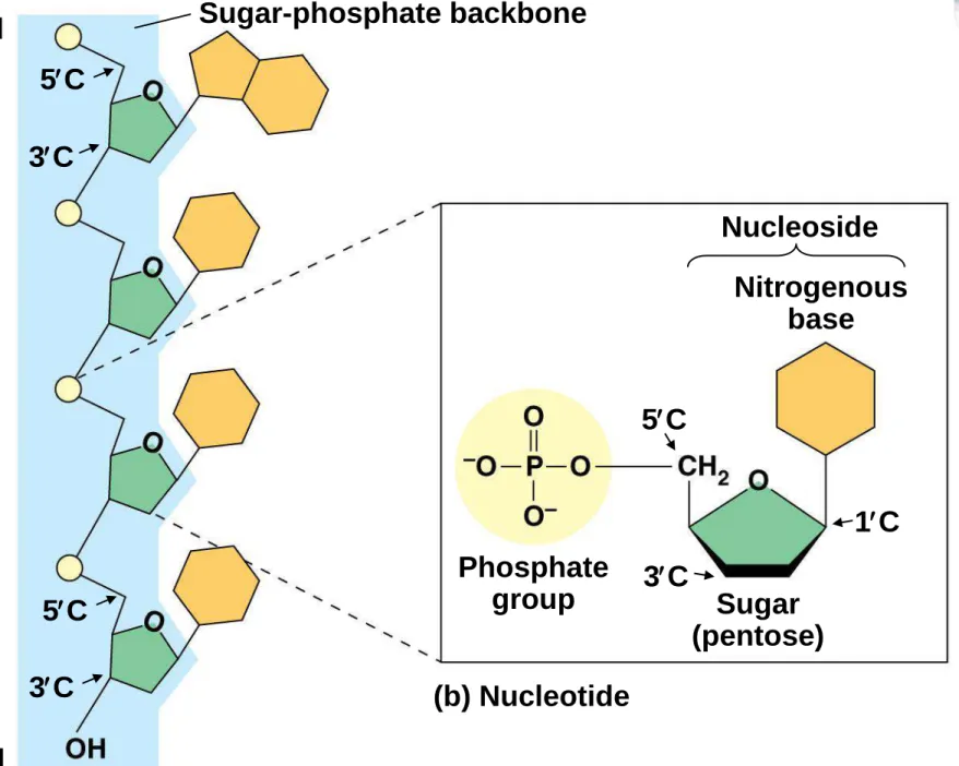 Figure 5.26ab