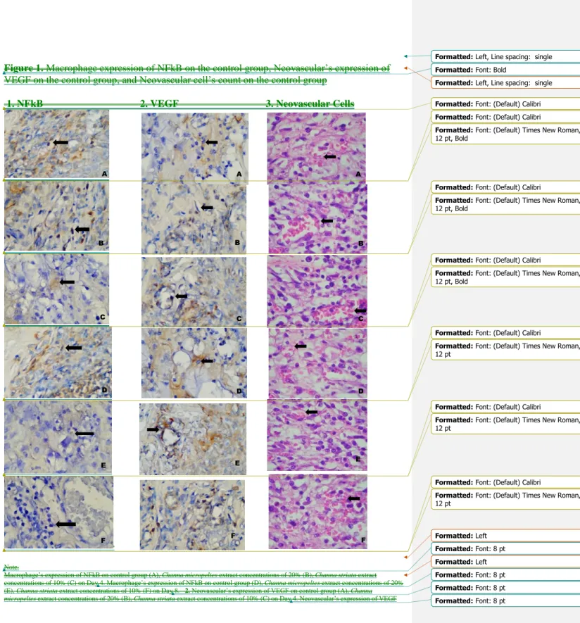 Figure 1. Macrophage expression of NFkB on the control group, Neovascular’s expression of  VEGF on the control group, and Neovascular cell’s count on the control group 