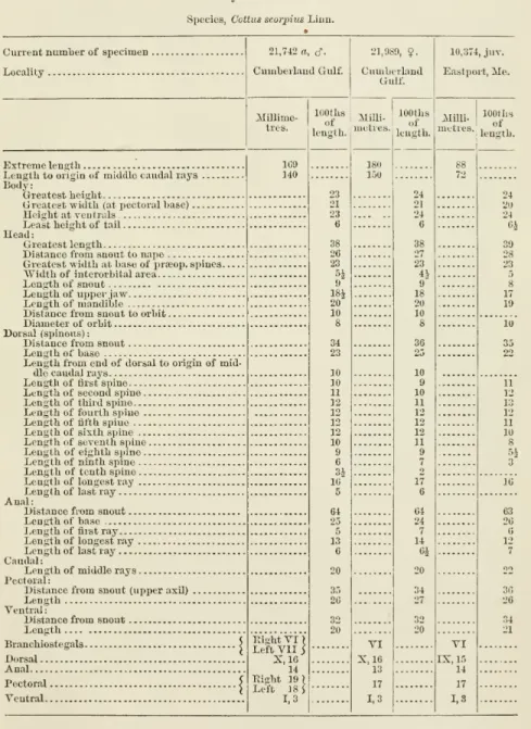 Table of Measurements.