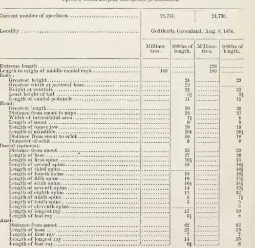 Table of Measurements.