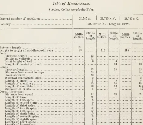 Table of Measurements.