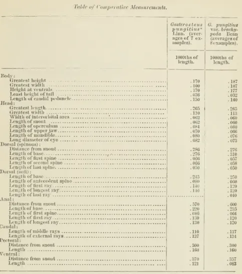 Table of Comporative Measurements.