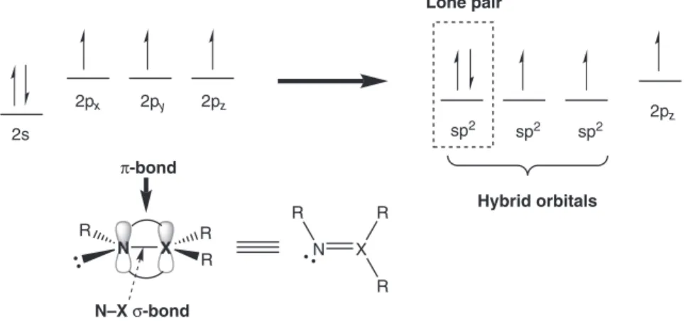 Figure 1.21  Hybrid orbitals (sp 2 ) on nitrogen and the formation of N]X double bonds