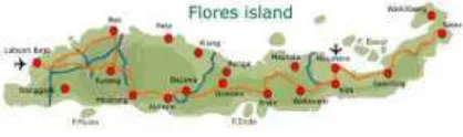 Gambar 1. Peta Pulau Flores 
