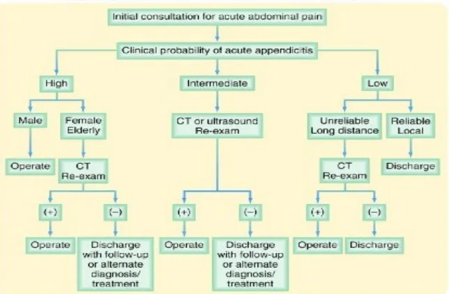 Gambar 5. Algoritma Diagnostik Appendicitis