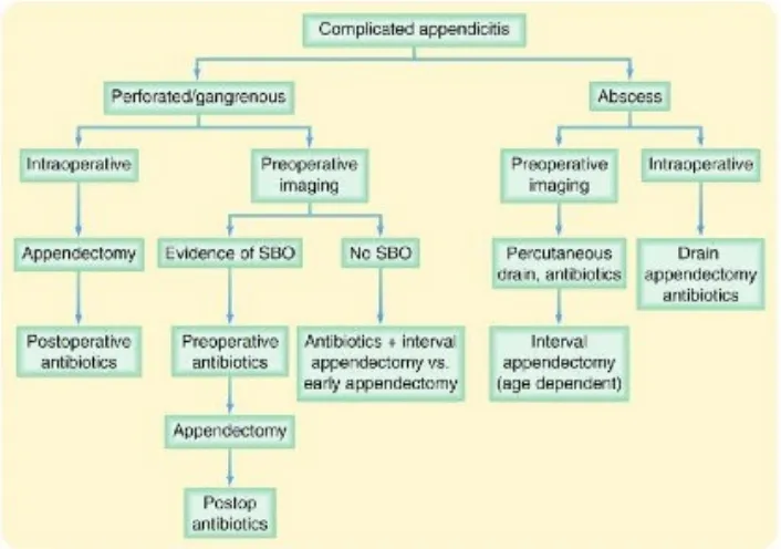 Gambar 8. Algoritma Tata Laksana Appendicitis dengan Komplikasi